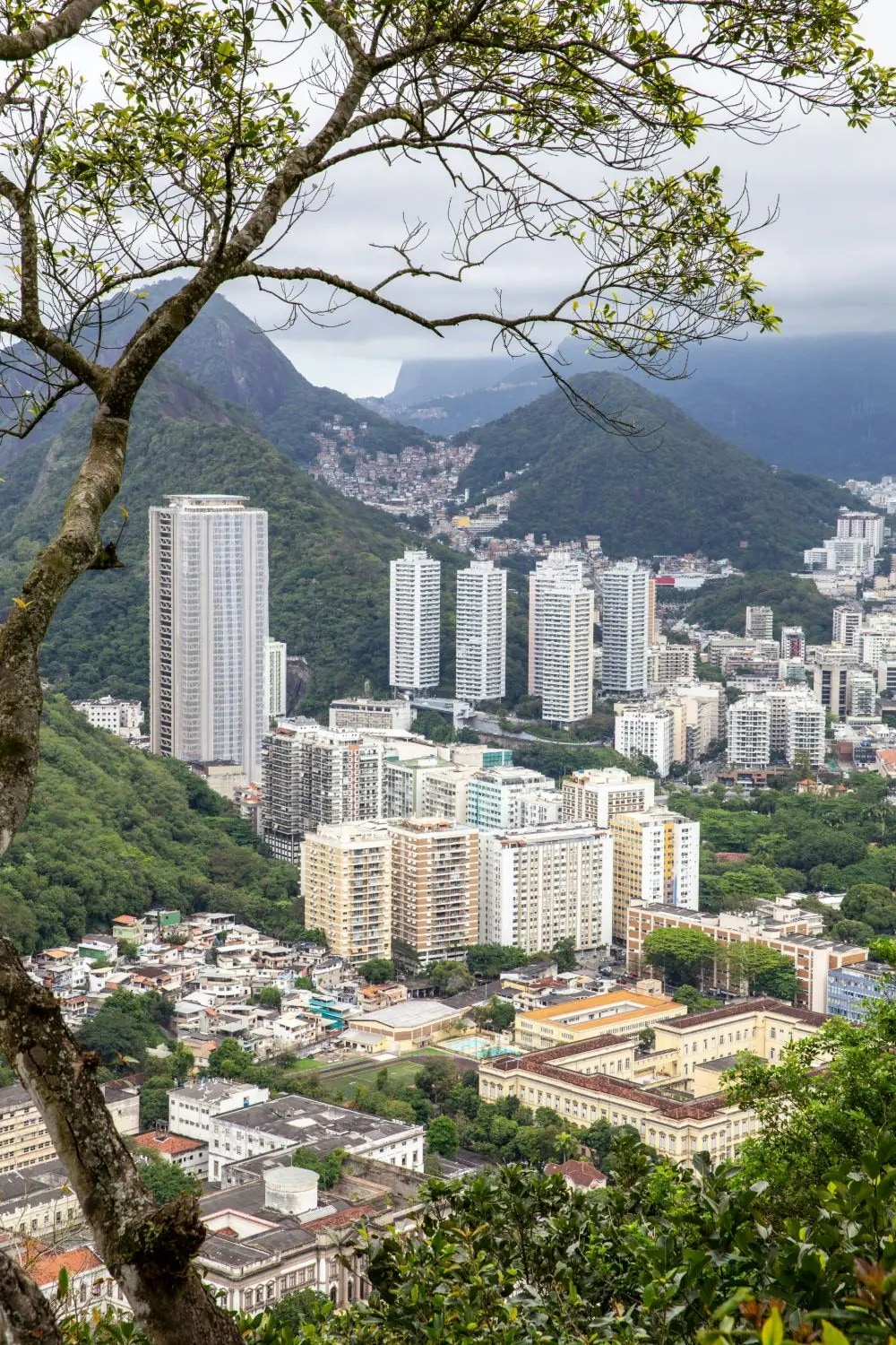 Green hills in Rio de Janeiro